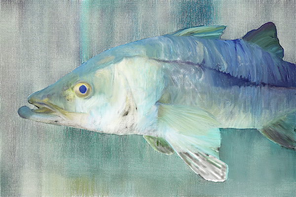 Snook Digital Painting by Gene Norris Snook Digital Painting by Gene Norris